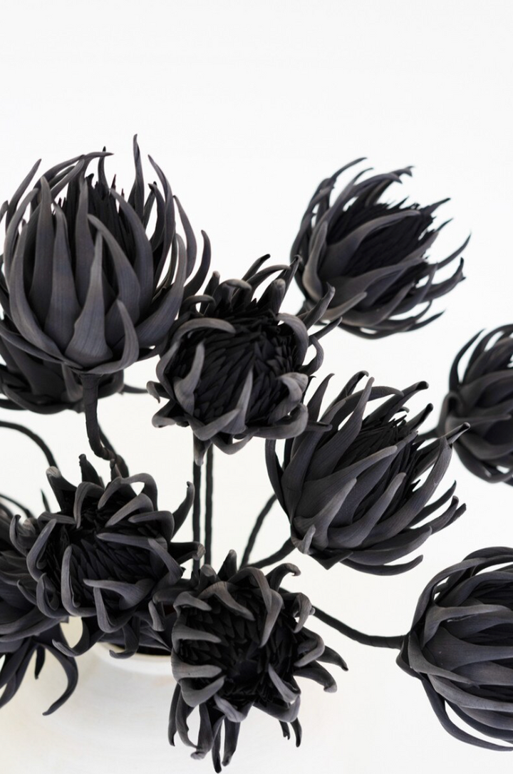 Black Foam Floral
