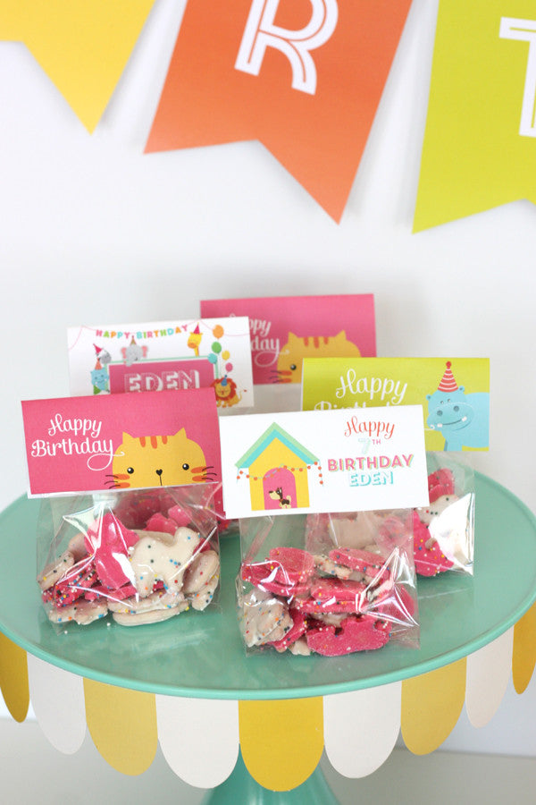 Pet Adoption - Adopt a pet printable birthday party Invitation