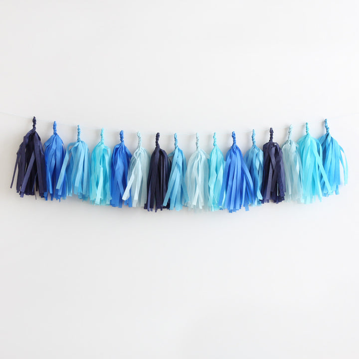 Ocean Fringe Tassel Garland Kit or Fully Assembled
