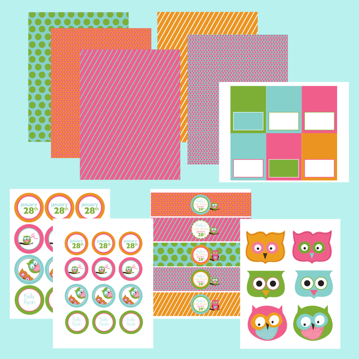 Printable Owl Favor/Treat Bag Toppers- Summer Days Owl Collection by Wants and Wishes